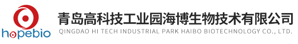 开云网页版登录入口